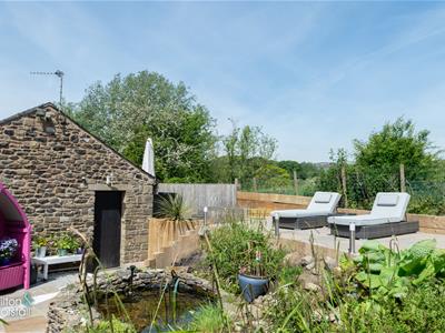 Picture 19